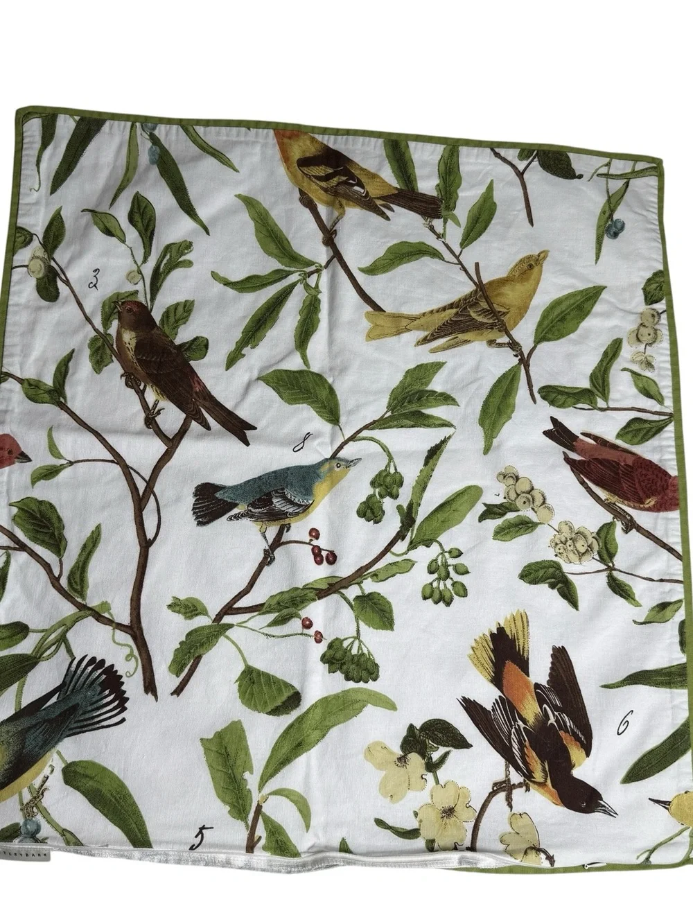Pottery Barn Pillow Cover Euro Sham Spring Sparrow Birds 23x24” Cottagecore READ